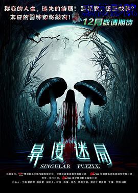 异度迷局